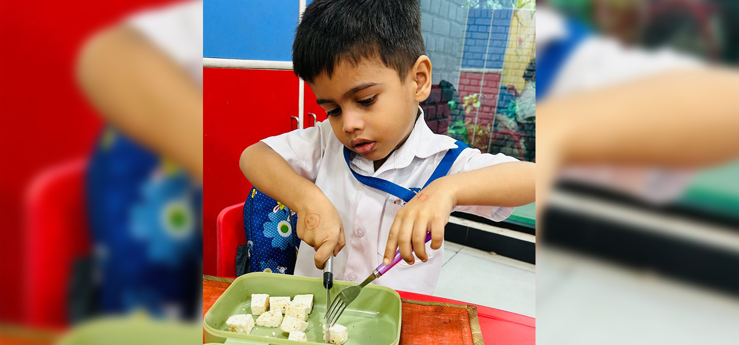 The Sheilingites School